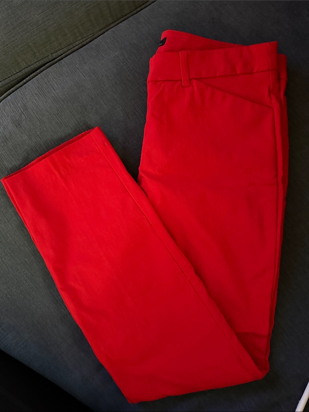 Dalia Men's Bright Red Chinos